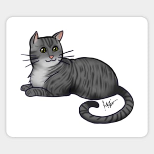 Cat - American Shorthair - Silver Tabby Magnet